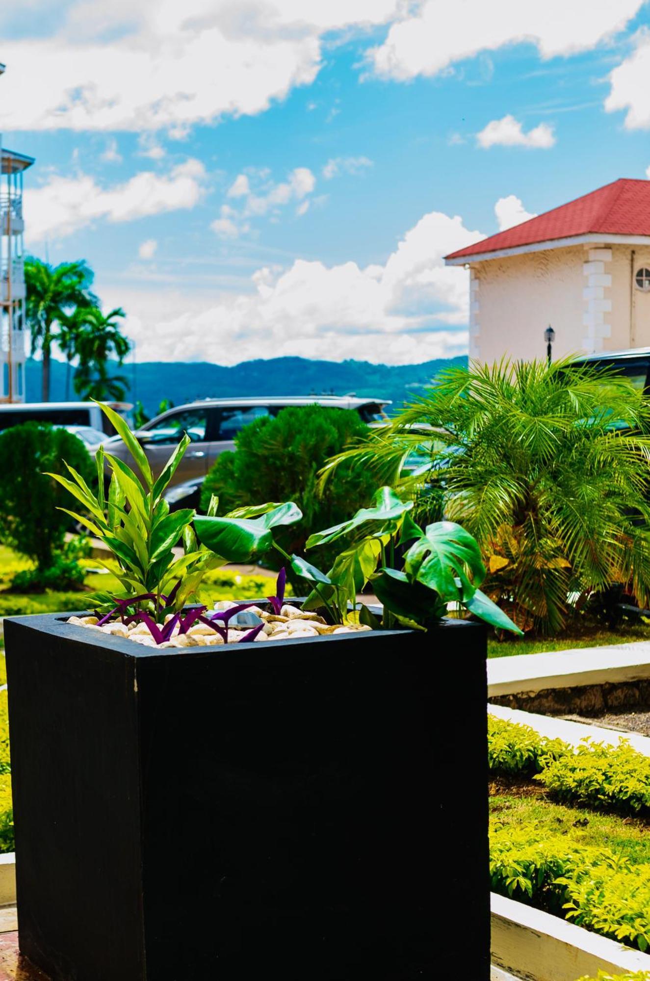Falcon Shoreline- Airport Pickup Available - Gated-Security มอนเทโกเบย์ ภายนอก รูปภาพ